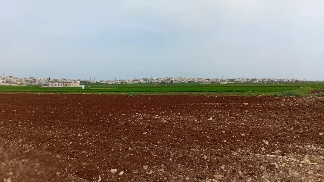 ارض للبيع اربد حكما شارع عمان حوض المنظار