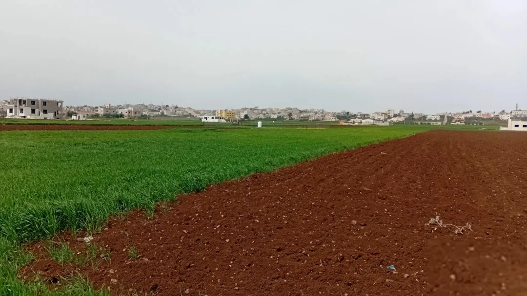 ارض للبيع اربد حكما شارع عمان حوض المنظار