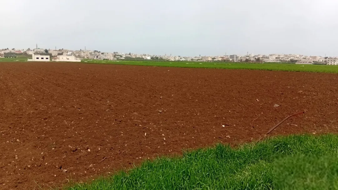 ارض للبيع اربد حكما شارع عمان حوض المنظار