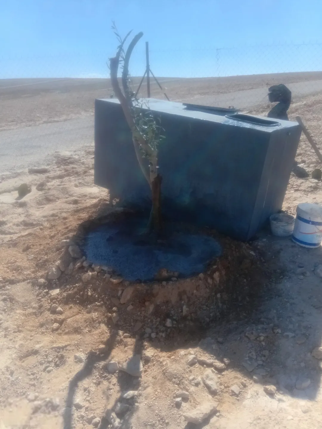 مزرعة زراعية مميزة للبيع في الجيزة – عمان