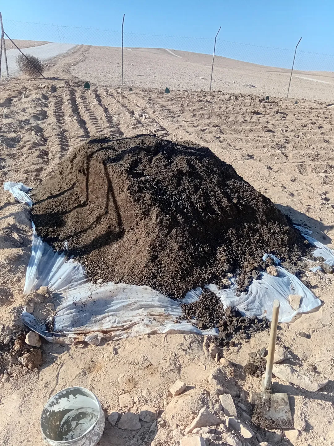 مزرعة زراعية مميزة للبيع في الجيزة – عمان