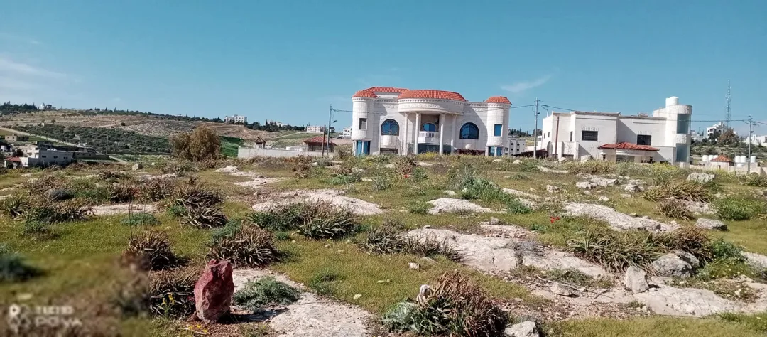 أرض للبيع في شفا بدران مرج الأجرب قرب دوار الترخيص