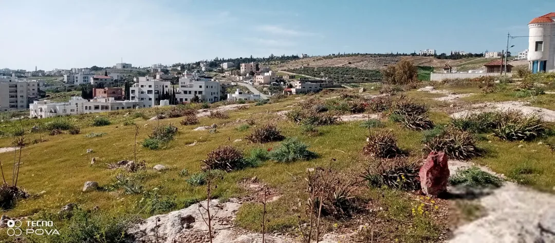 أرض للبيع في شفا بدران مرج الأجرب قرب دوار الترخيص