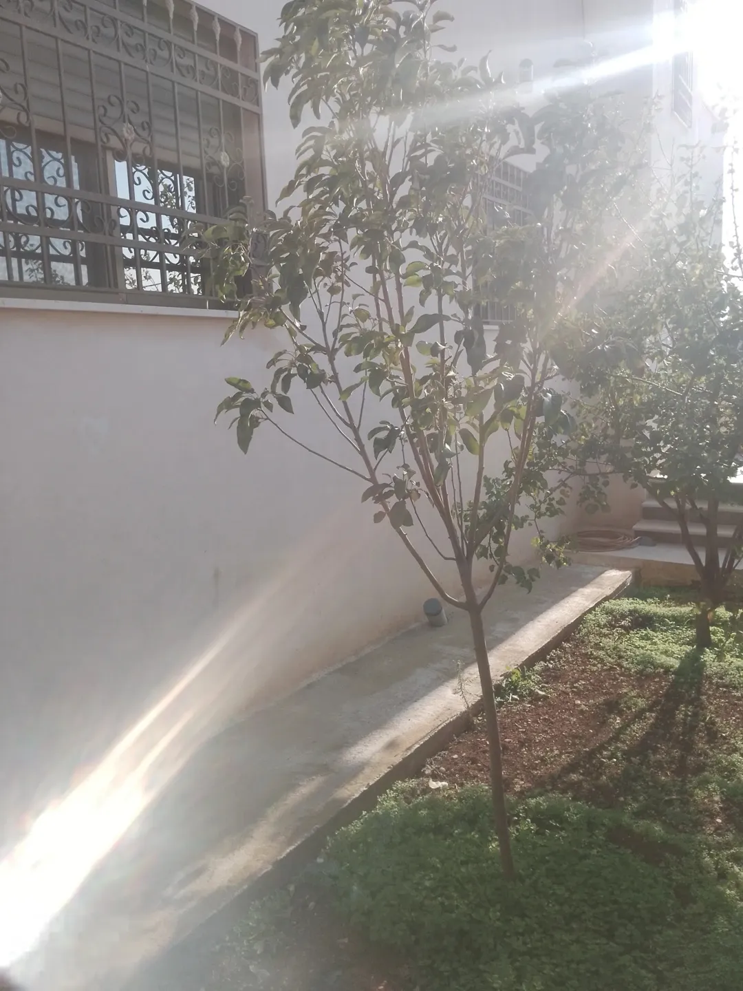 بيت مستقل للبيع في إربد – سال حوض نويديس