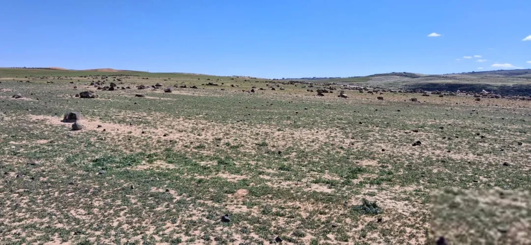 ارض زراعية كبيرة 175 دونم في شمال الكرك لواء القصر مطلة على البحر الميت