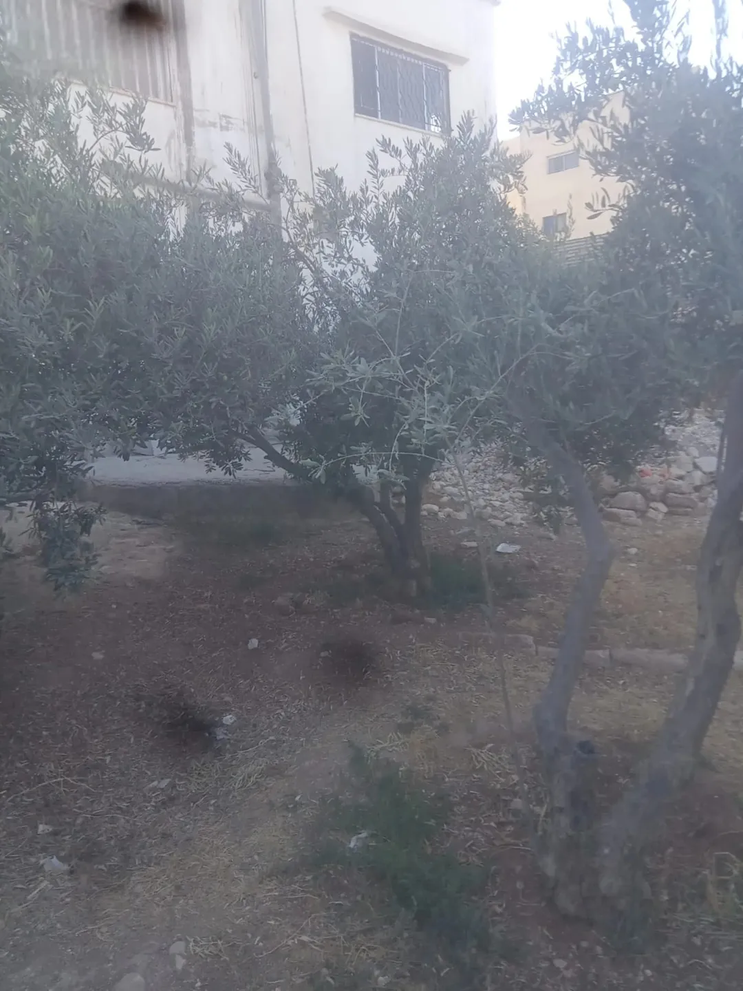 بيت في منطقة بلعما/النزهه/خلف جامع النزهه ومدرسة النزهه/عدد2