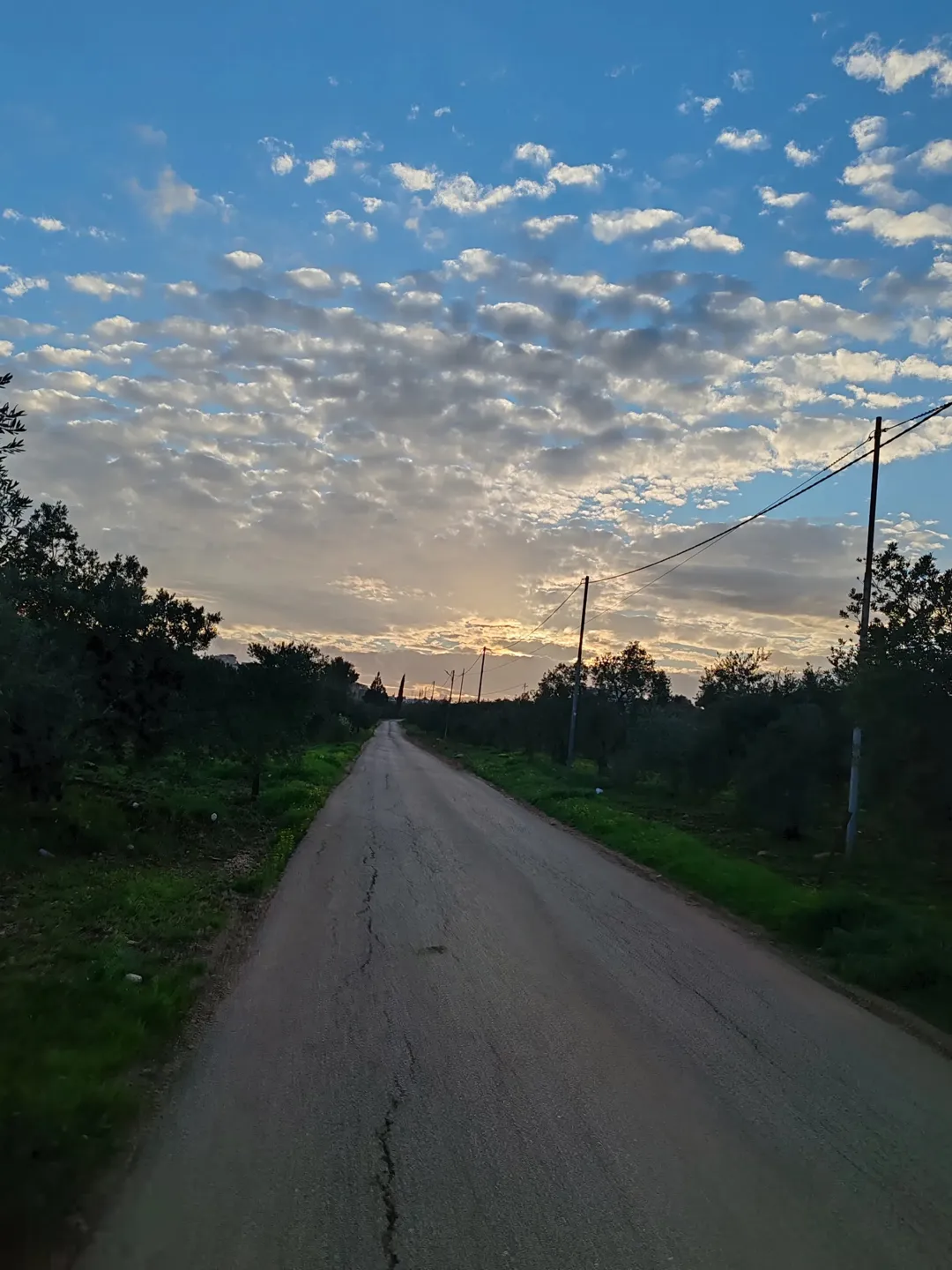 فرصة استثمارية مميزة: أرض 2 دونم بين مرو وحكما قطعة مستوية ومخدومة بالكامل (ماء، كهرباء، صرف صحي)