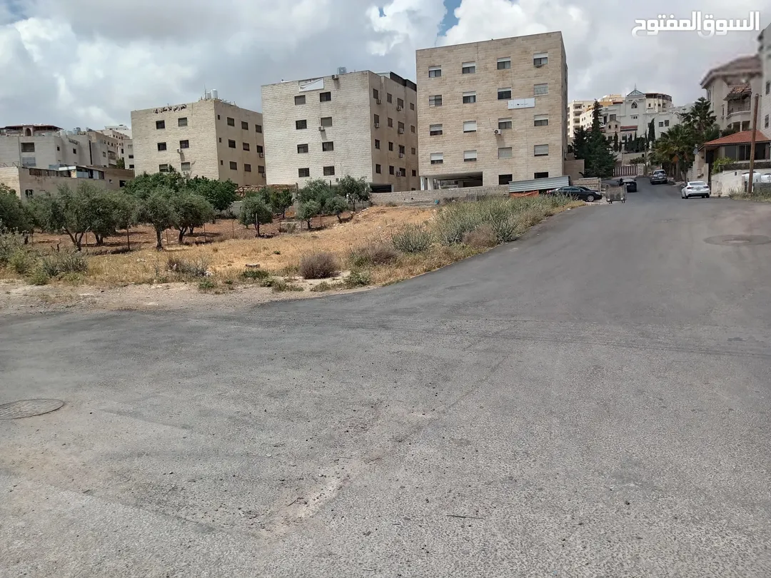 أرض مميزة في الجبيهة أم زويتينة للبيع تصلح لفيلا أو إسكان مساحتها 965 متر — صورة 3