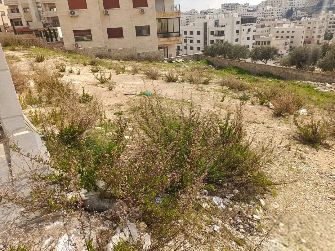 قطعة سكن ج في أجمل مناطق البنيات مطلة على السوق التجاري — صورة 4