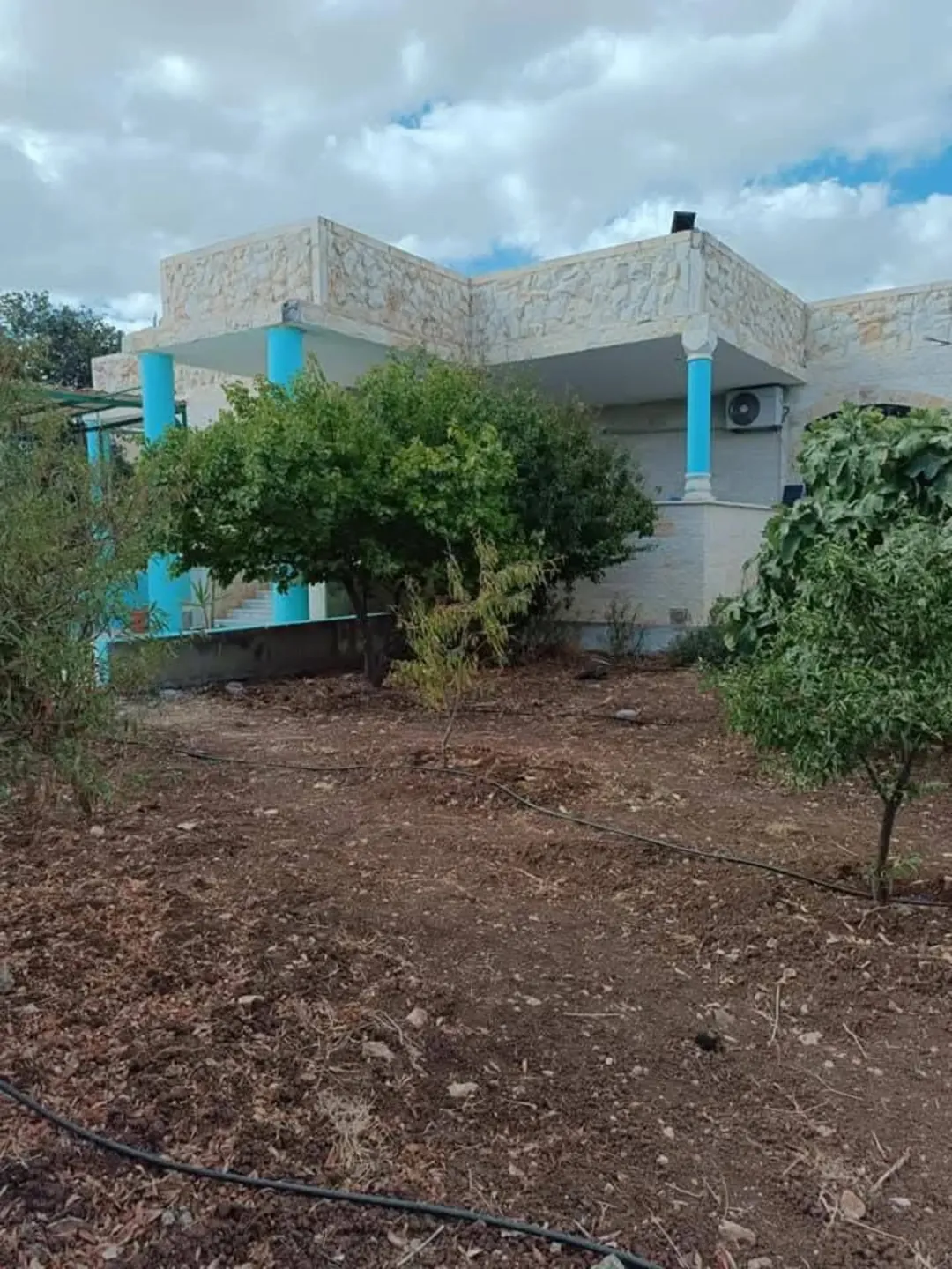 مزرعة خلابة للبيع في إربد – الطيبة الجديدة – شفاء الشونة الشمالية