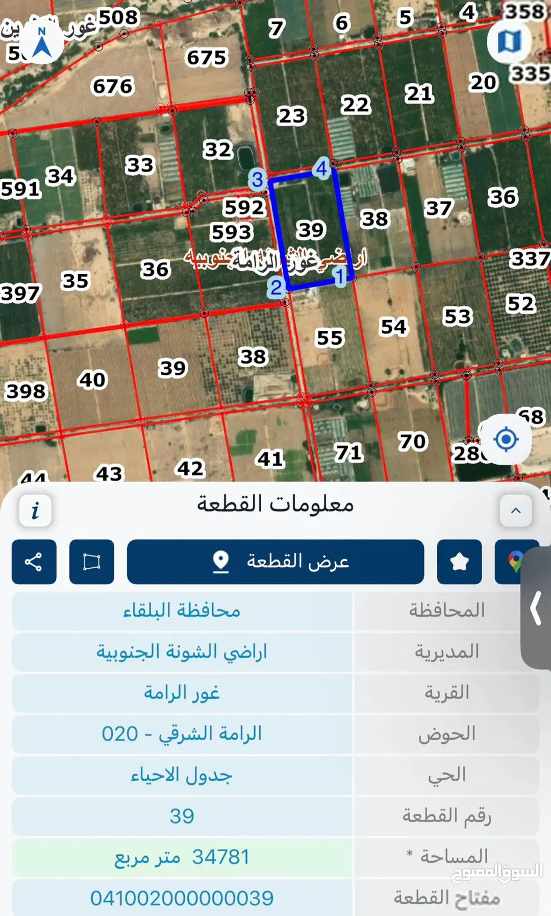 مزرعة نخيل مجهول مع محول كهرباء وبير في منطقة الرامة للبيع بسعر مغر — صورة 3