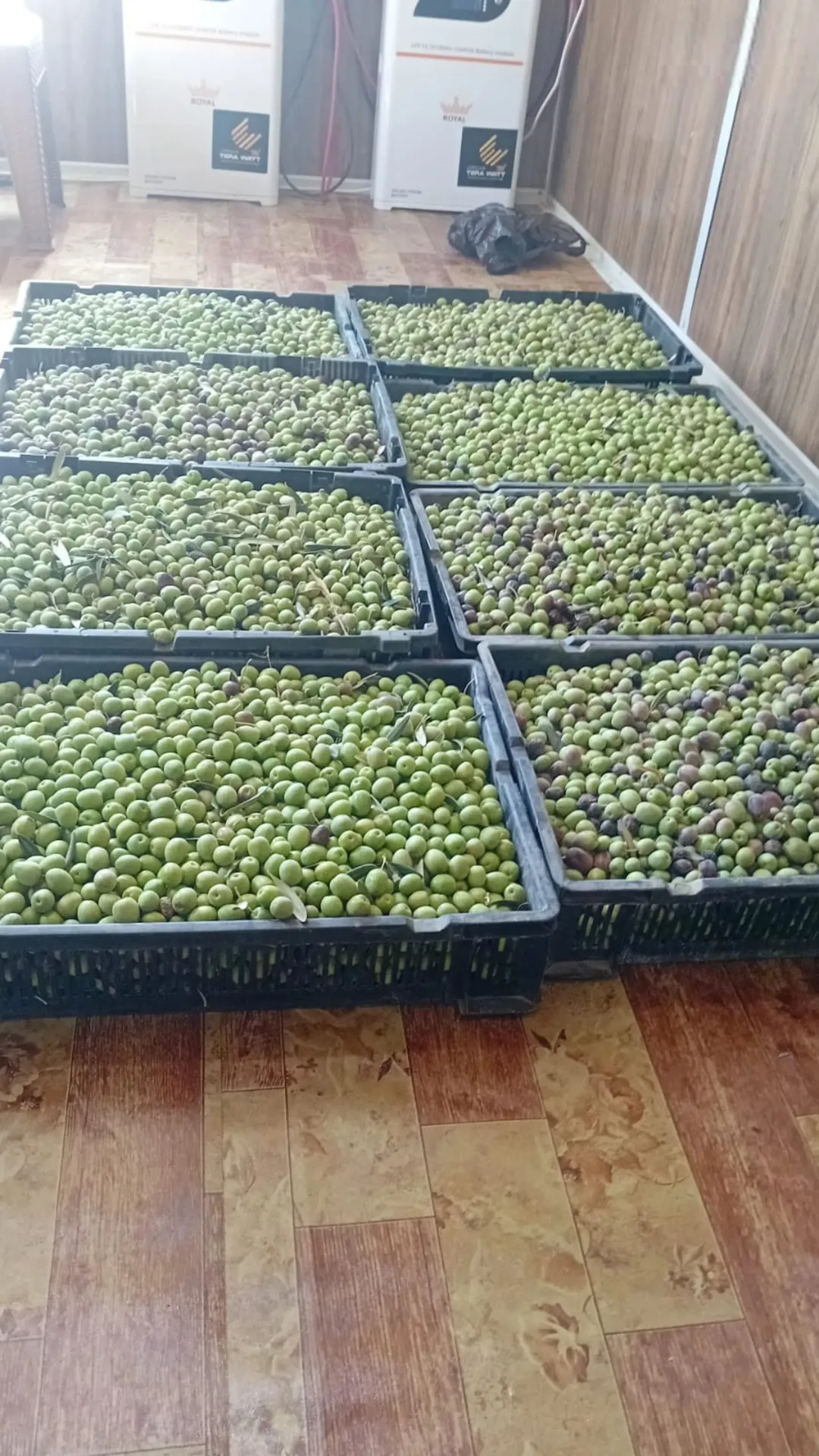 مزرعة خلابة للبيع في ضبعه – عمان بمساحة 3,400 متر مربع