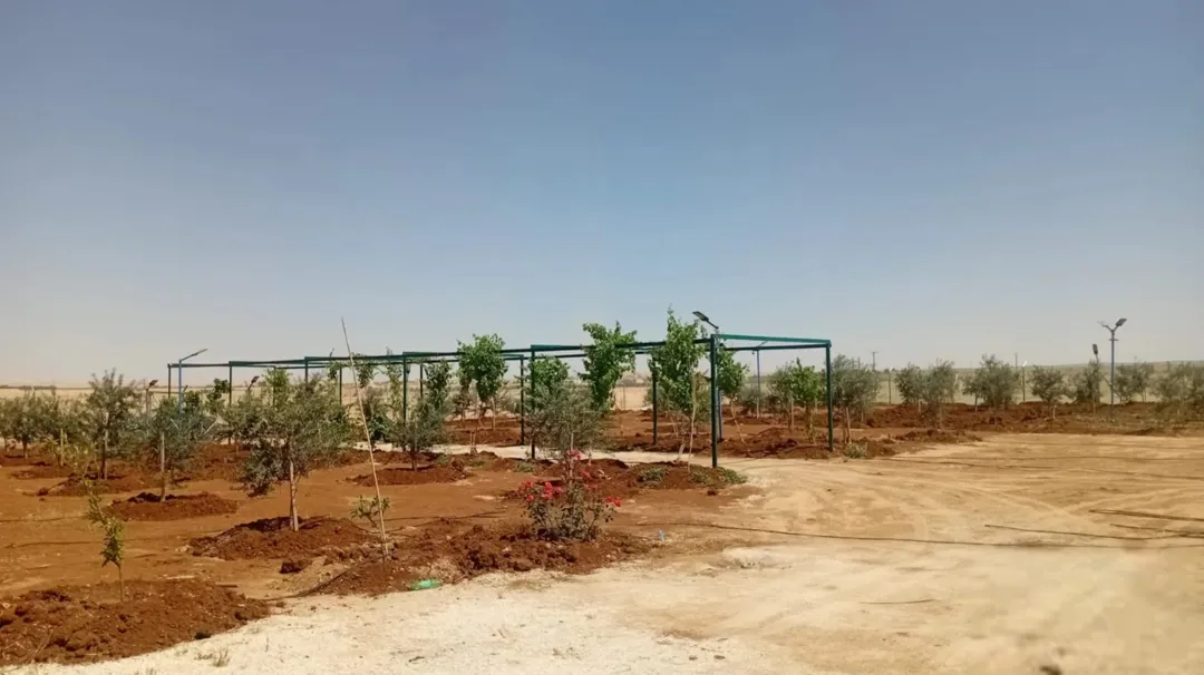 مزرعة خلابة للبيع في ضبعه – عمان بمساحة 3,400 متر مربع
