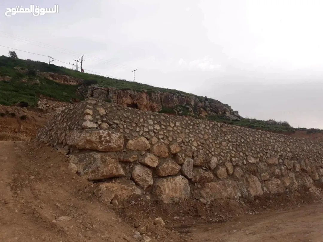 ارض 2 دونم مشاع بلعدسيه ( سناسل اسمنيته عدد 2)