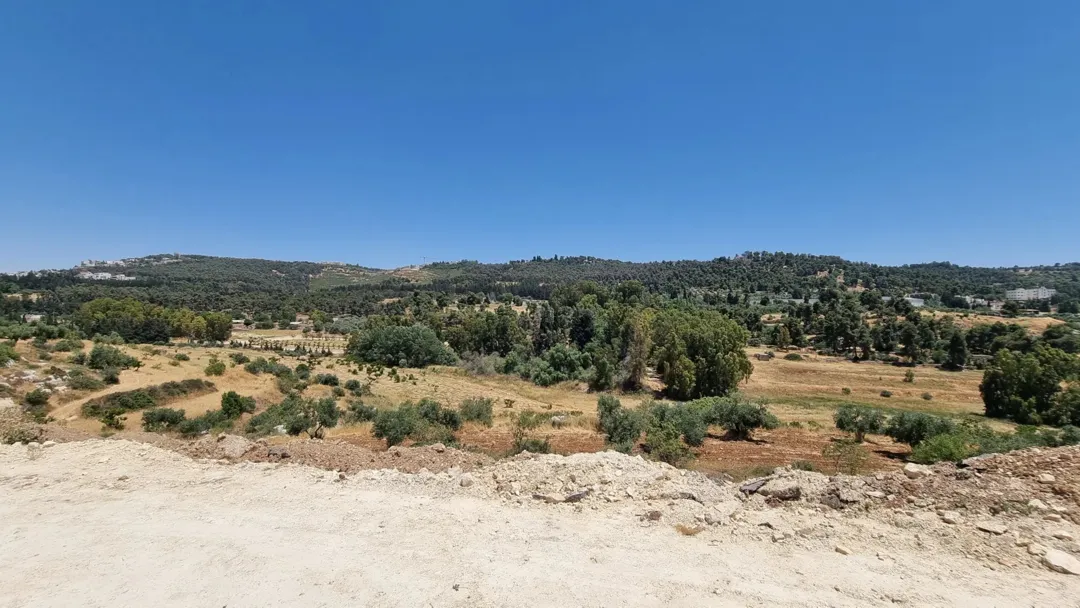 أرض سكنية مميزة للبيع في منطقة الحمر – عمان