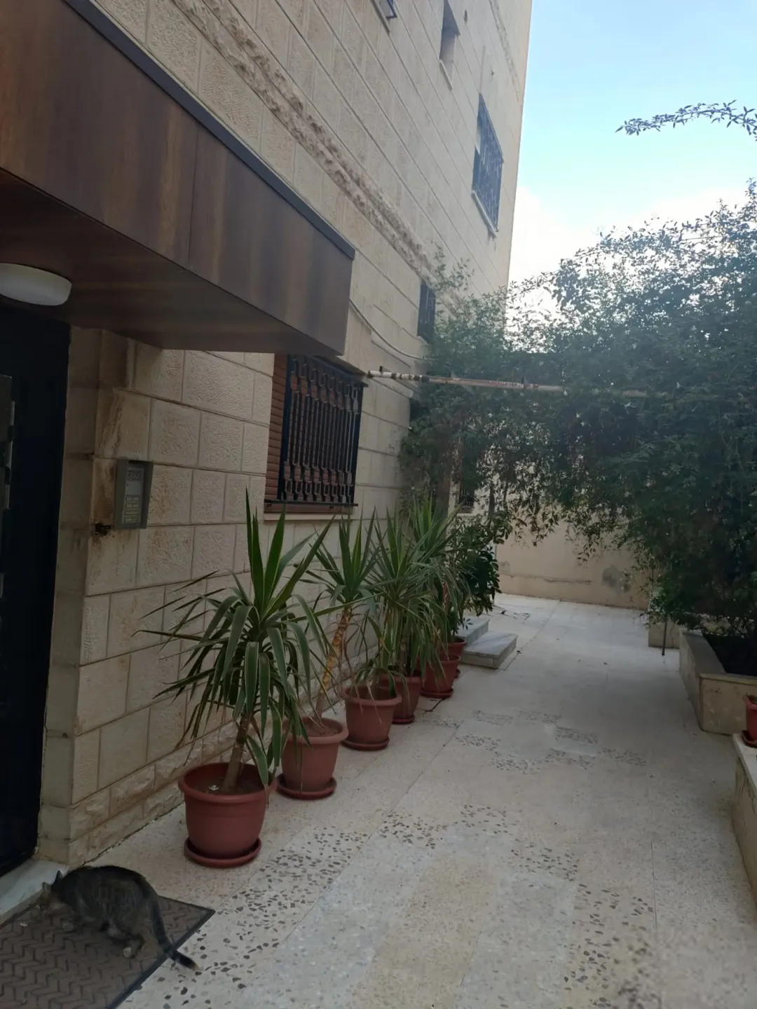 عمارة استثمارية – ضاحية الامير حسن (سكنية) للبيع مباشرة