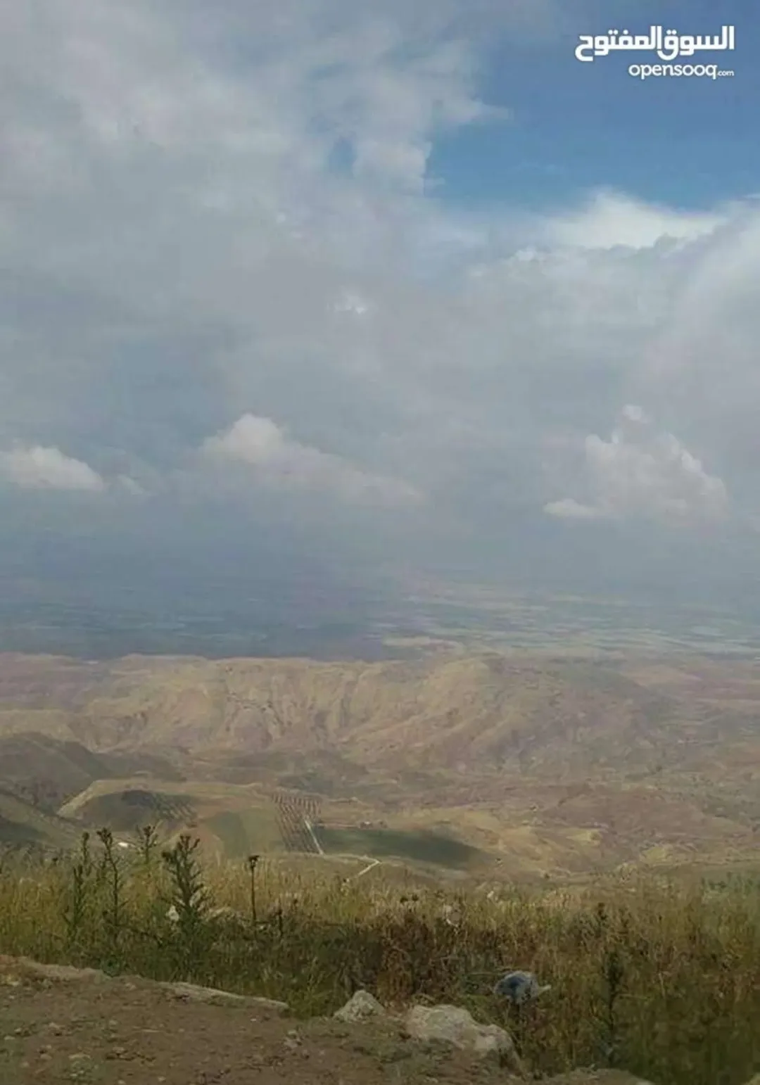 أرض زراعية في السلط بمساحة 4,500 م وإطلالة غربية ساحرة على جبال فلسطين