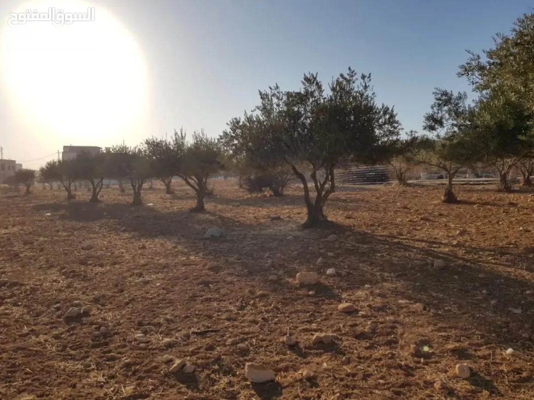 اخر قطعة أرض للبيع بالحوض ، منطقة شفا بدران مرج الفرس