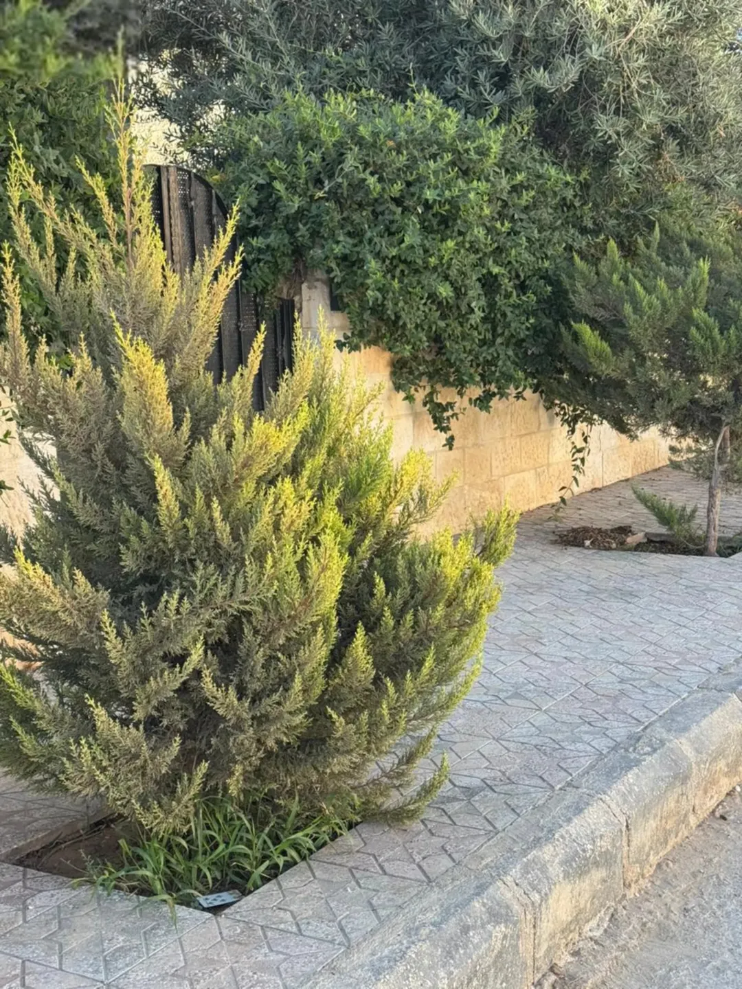 منزل للبيع في منطقة المستندة