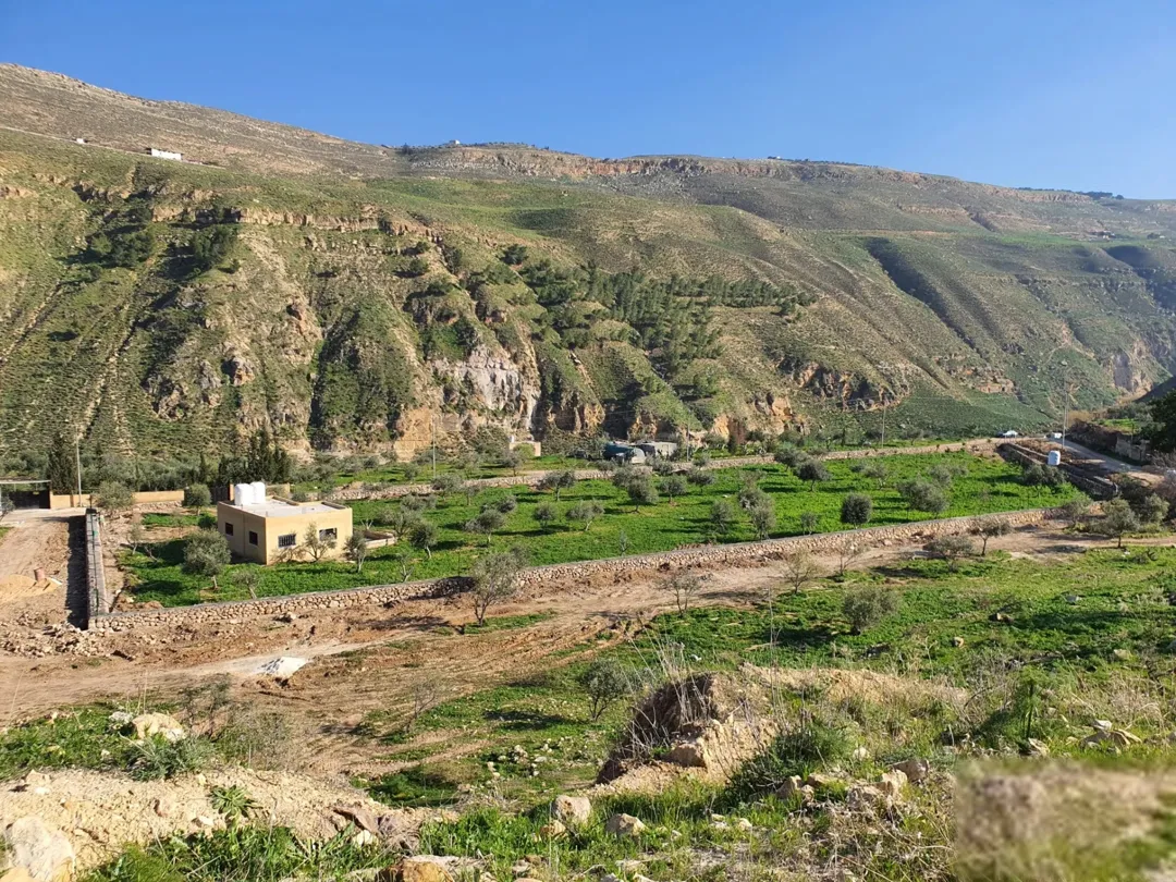 أرض زراعية خلابة في منطقة جلعد ألرميمين