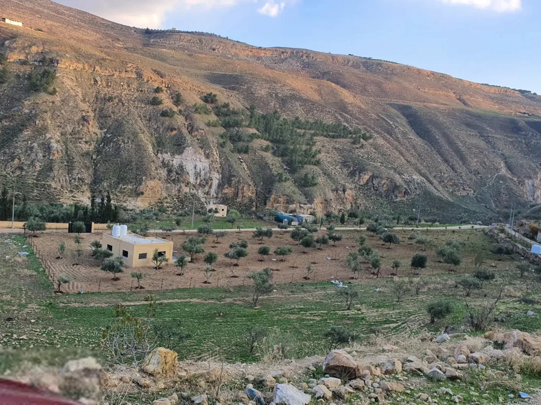أرض زراعية خلابة في منطقة جلعد ألرميمين