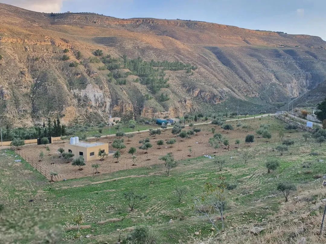 أرض زراعية خلابة في منطقة جلعد ألرميمين