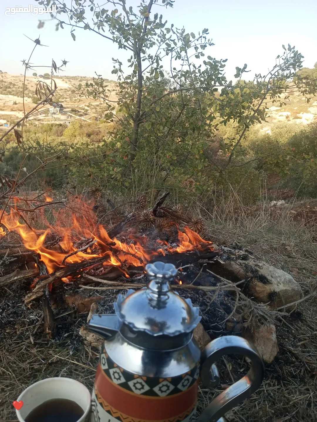الأرض جاهزه لكل شئ عمار بيت زراعه كل شي يوجد لوز انجاص زيتون