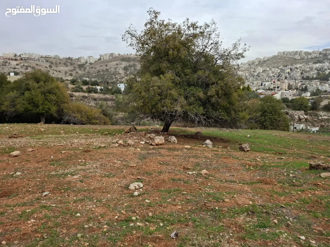 قطعة أرض مميزة في منطقة أبو النعير