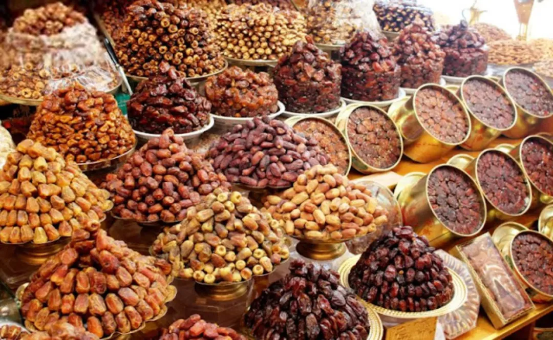 مزارع نخيل فاخرة في قلب الغور الأردني – مساحات متنوعة