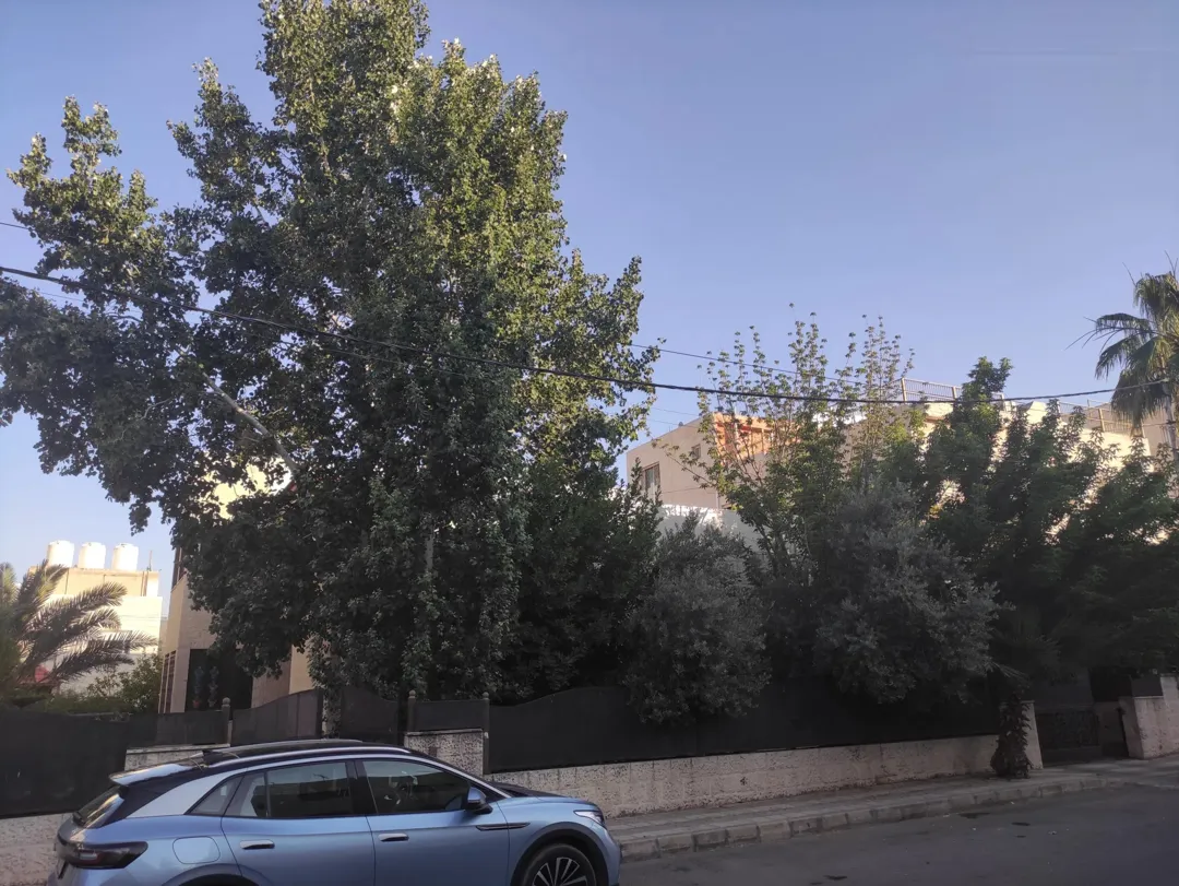 منزل مستقل فاخر للبيع في حي الرونق – بيادر وادي السير