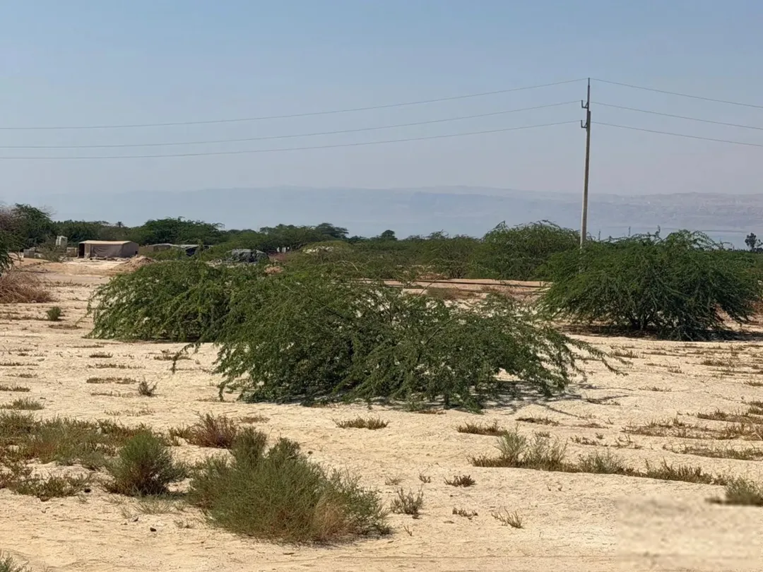 أرض للبيع استثمارية مميزة مطلة على البحر الميت