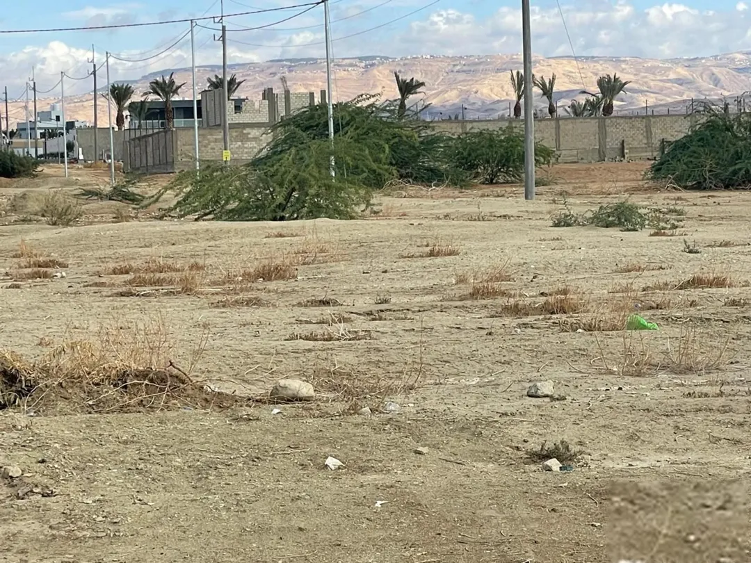أرض للبيع استثمارية مميزة مطلة على البحر الميت