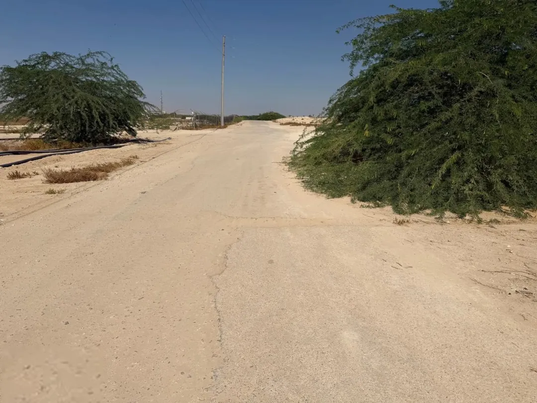 أرض للبيع استثمارية مميزة مطلة على البحر الميت