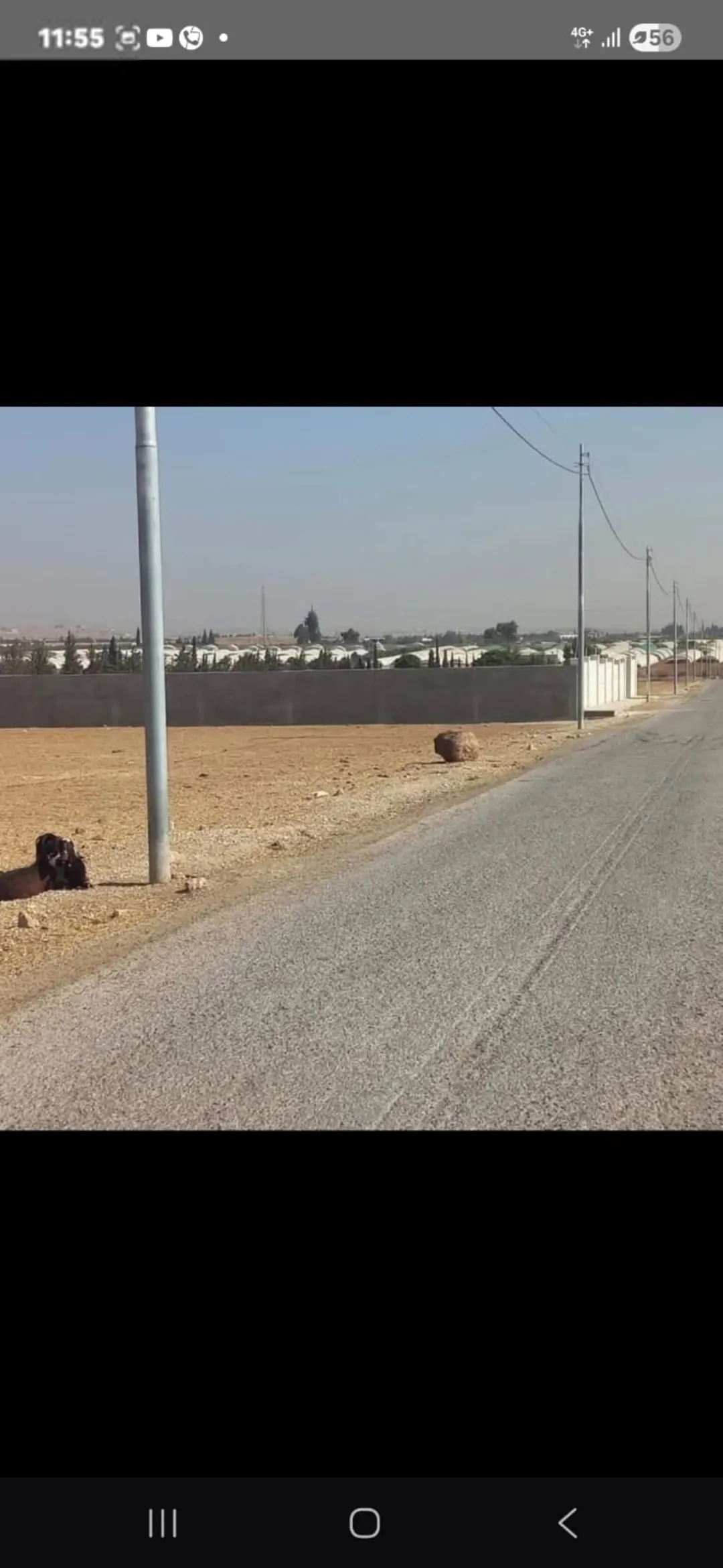 أرض زراعية مميزة للبيع في القسطل