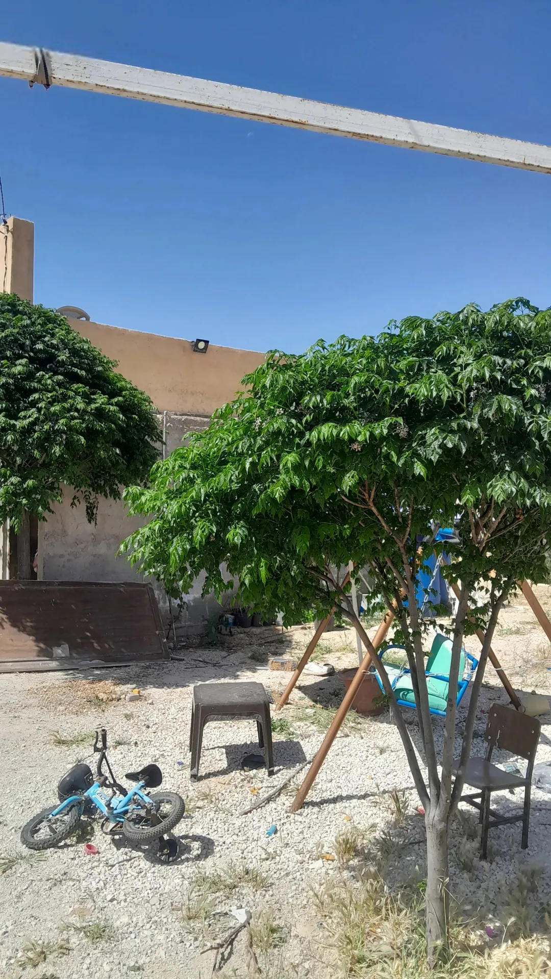 مزرعة وشاليه مميز للبيع في المفرق – الزنية