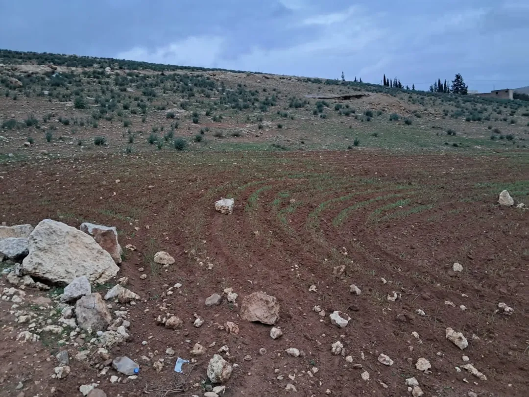 أرض زراعية للبيع