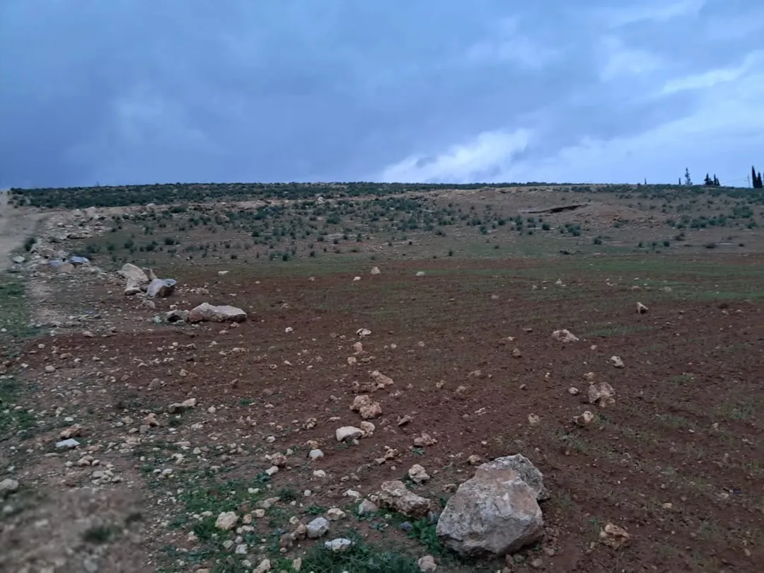 أرض زراعية للبيع