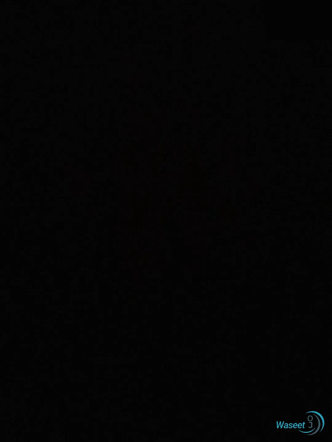مطلوب شقه للإيجار