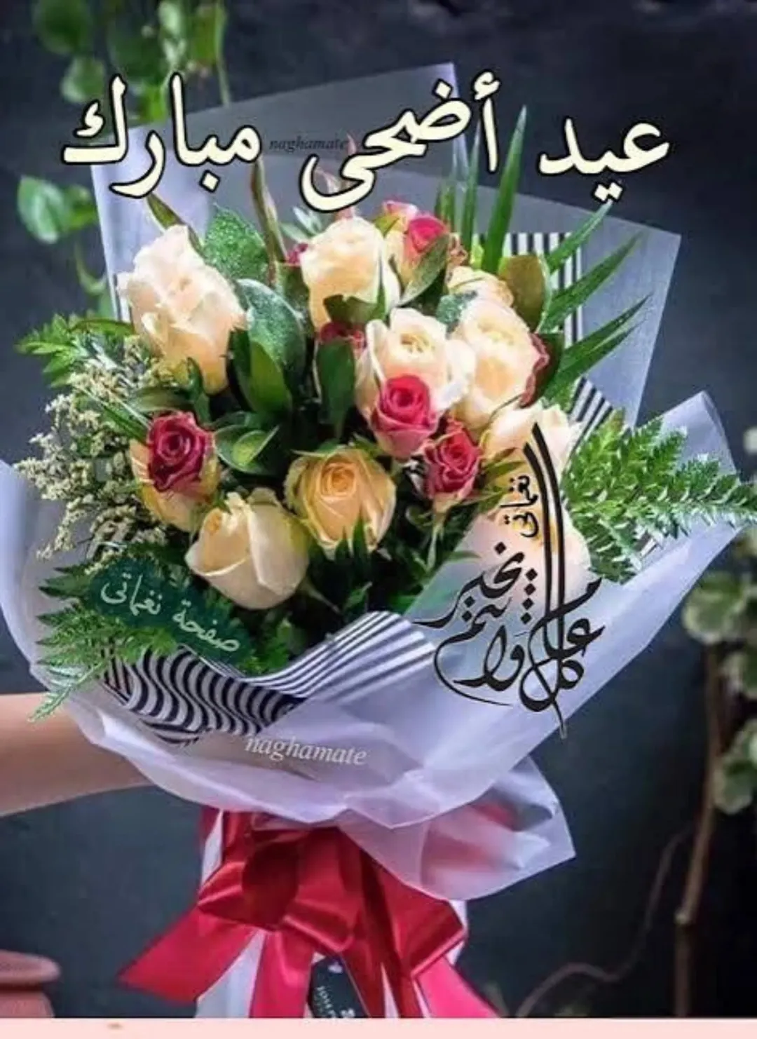 أرض سكنية مميزة للبيع في أم العمد – منجا