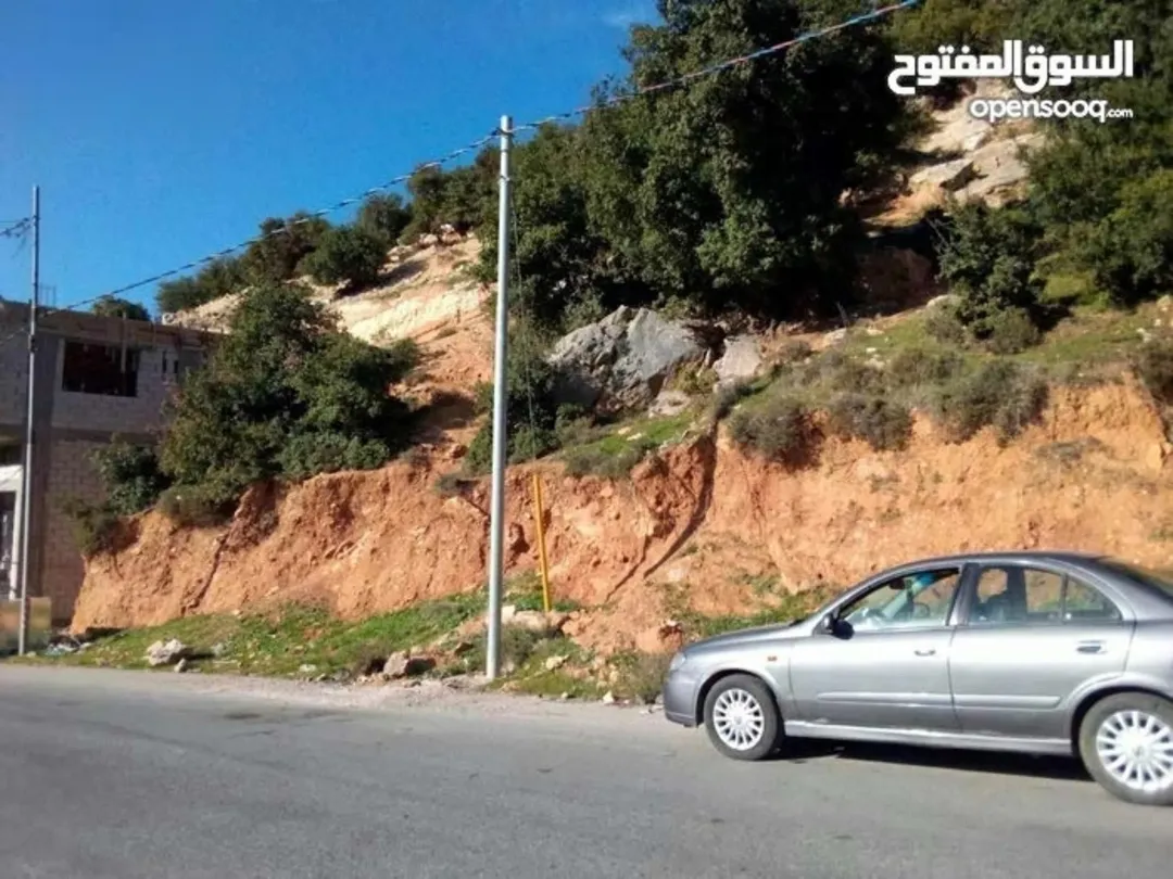 أرض سكنية مميزة في منطقة العين الشرقية