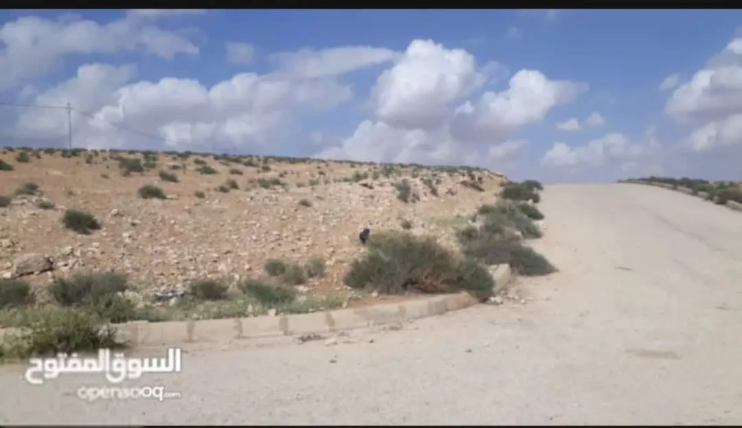 أرض مميزة للبيع في منطقة القسطل ضمن مشروع بوابة عمان