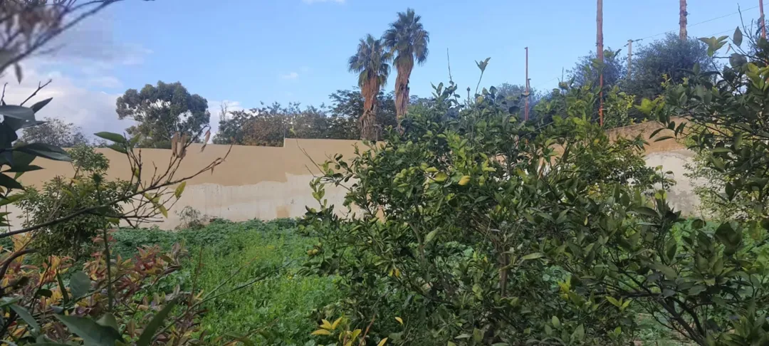 بيت ريفي في الاغوار الشمالية مع ارض في منطقة هادئة وخلابة قريبة من الخدمات يصلح للاسثمار مشتى عائلي