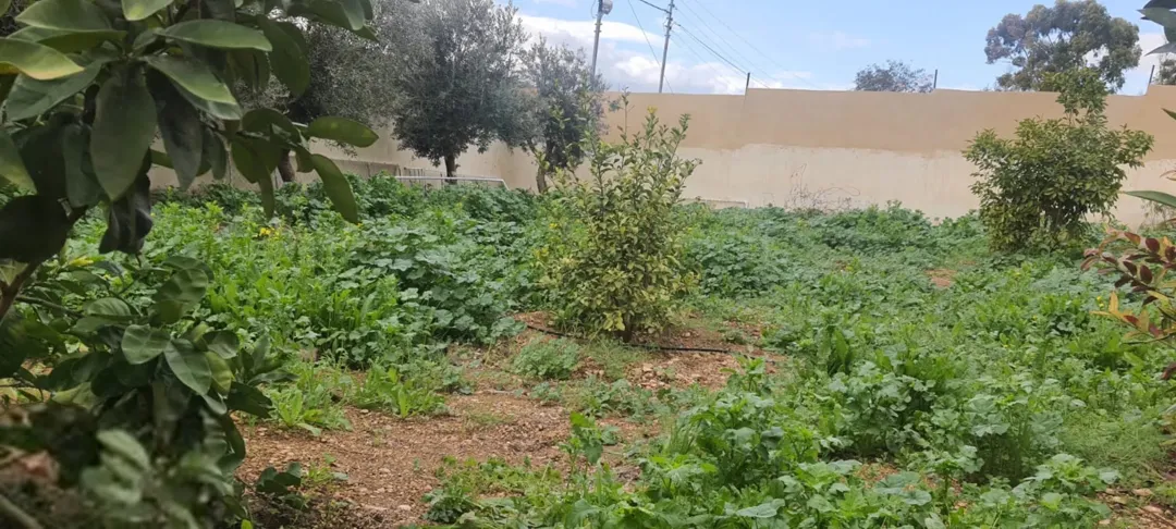 بيت ريفي في الاغوار الشمالية مع ارض في منطقة هادئة وخلابة قريبة من الخدمات يصلح للاسثمار مشتى عائلي