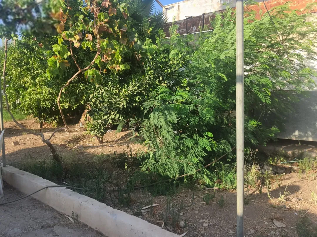 بيت ريفي في الاغوار الشمالية مع ارض في منطقة هادئة وخلابة قريبة من الخدمات يصلح للاسثمار مشتى عائلي
