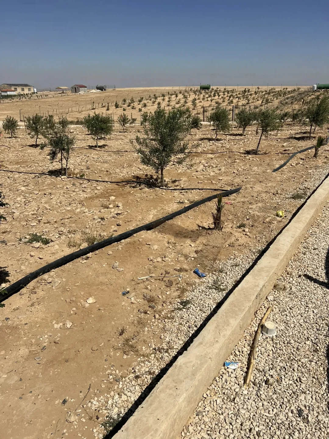 مزرعة زراعية للبيع في منطقة بريك – الجيزة، عمان