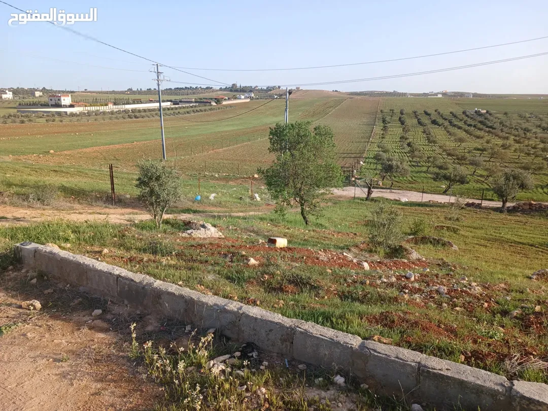 مزرعة وبيت ريفي