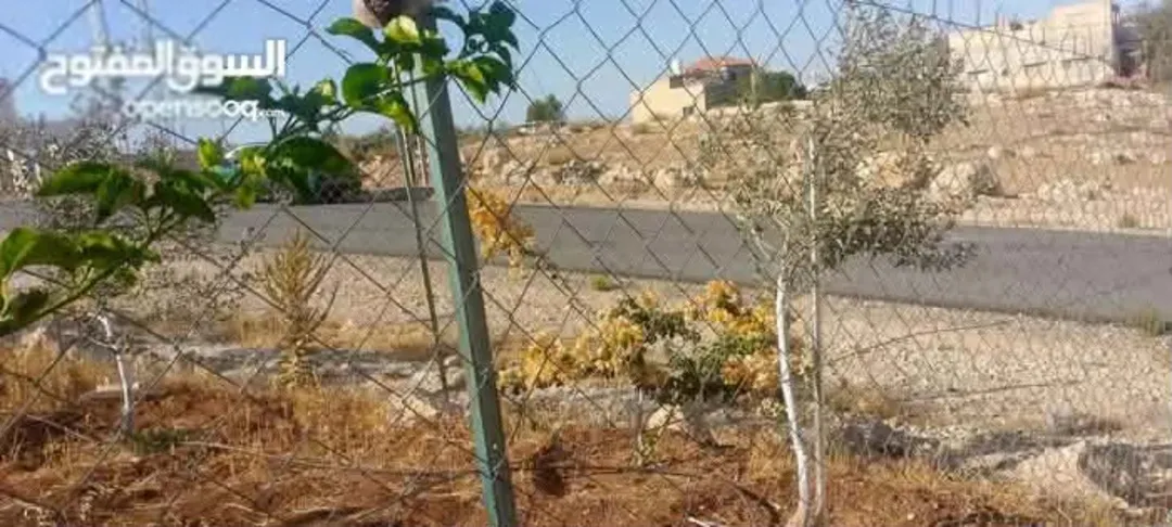 قطعة أرض سكنية فاخرة في لواء عين الباشا شمال عمان