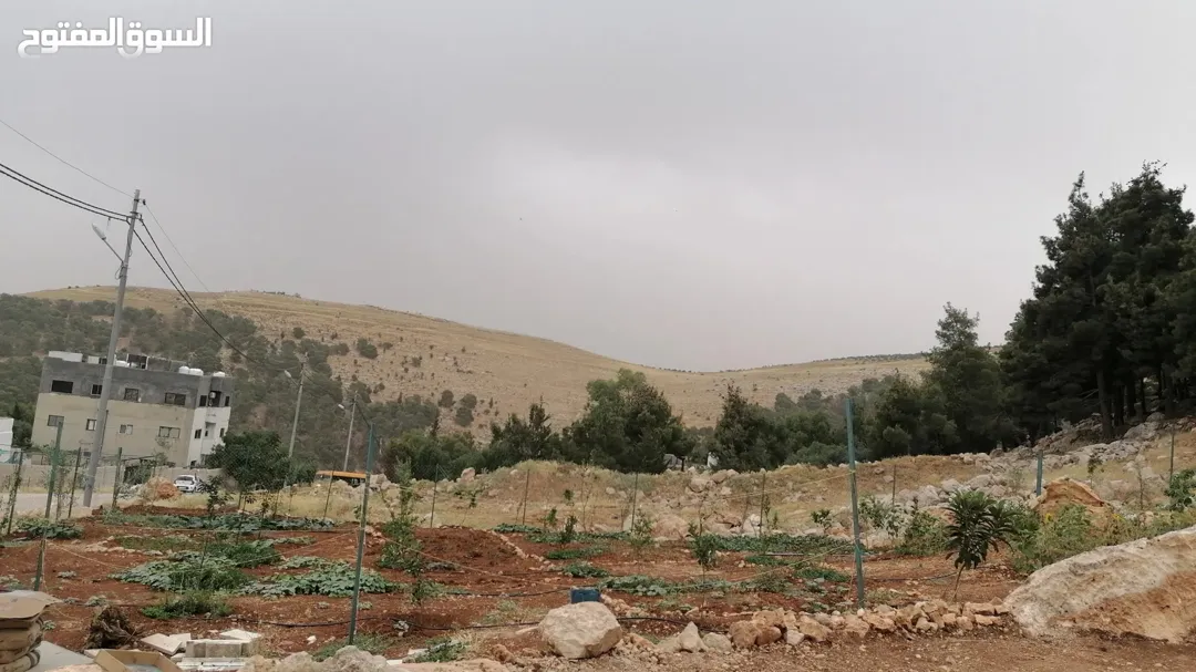 قطعة أرض سكنية فاخرة في لواء عين الباشا شمال عمان