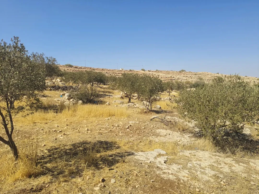 مزرعة للبيع في ذيبان مادبا مطلة على وادي الهيدان