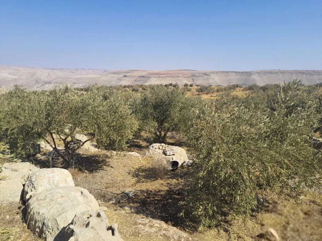 مزرعة للبيع في ذيبان مادبا مطلة على وادي الهيدان